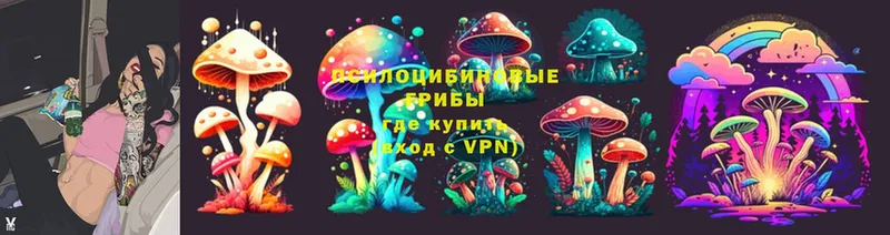 Галлюциногенные грибы Magic Shrooms  гидра ССЫЛКА  Гусь-Хрустальный  купить  